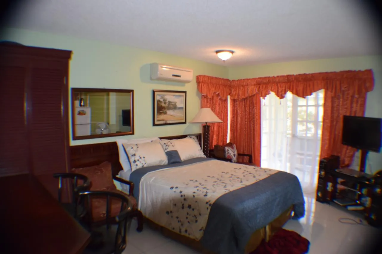 Mystic Ridge Studio Ocho Rios Lejlighed